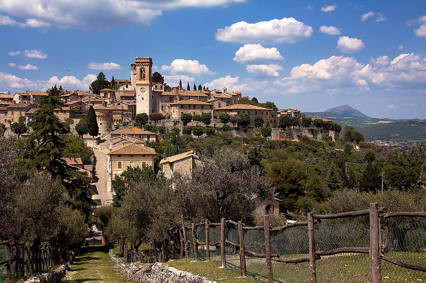 Corciano castello di vino 2019 