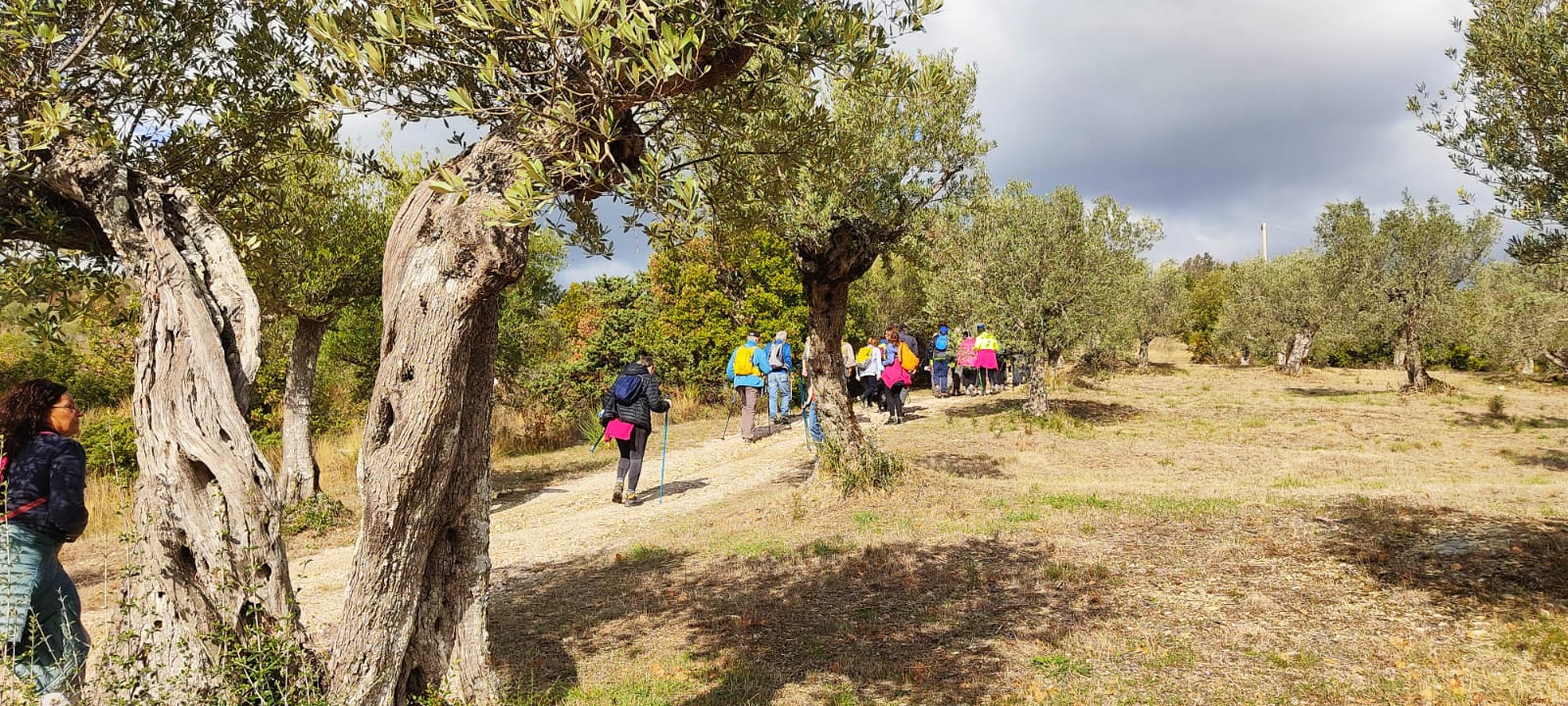 “Passeggiate & buon gusto. Tra borghi, ulivi e fattorie” un programma di esperienze tra natura, cultura ed enogastronomia lungo la Strada dell’Olio e.v.o. Dop Umbria