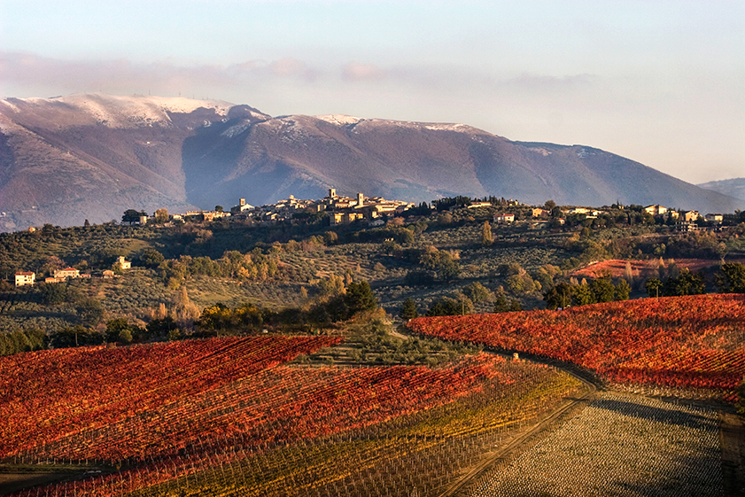 “UMBRIA IN ANTEPRIMA” DALL’UNIONE DI QUATTRO CONSORZI UN EVENTO UNITARIO PER PRESENTARE ALLA STAMPA LE NUOVE ANNATE 