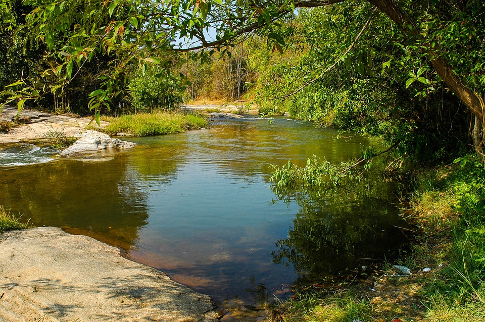 river_landscape_199208_960_720.jpg